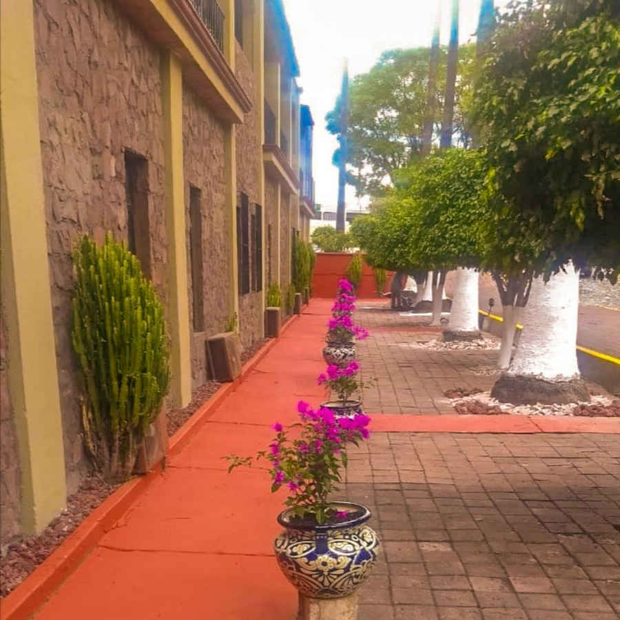 hotel-real-de-minas-tradicional-hotel-15 Hotel Real de Minas Tradicional Querétaro