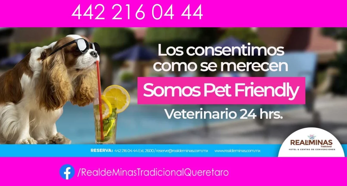 Hotel Real de Minas, Tradicional, Hotel Pet Friendly en Santiago de Querétaro