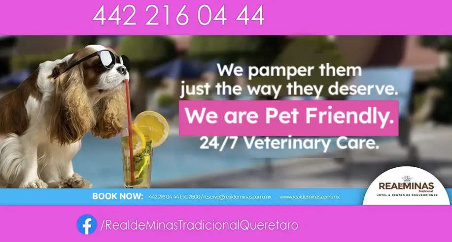 Pet Friendly Hotel. Real de Minas Tradicional Hotel, Hotel in Querétaro