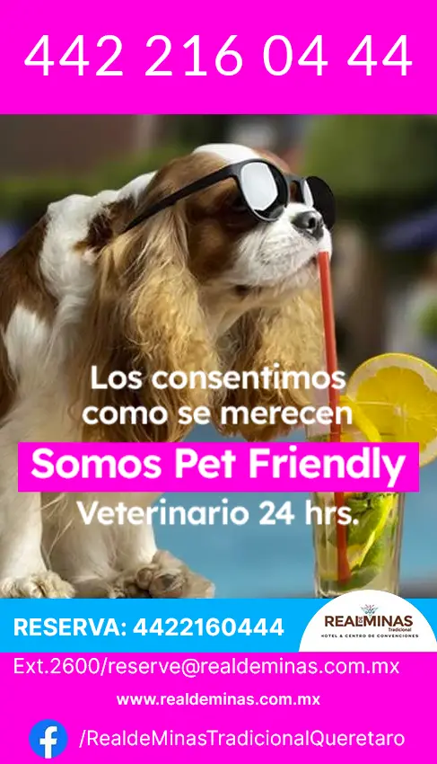 Hotel Real de Minas, Tradicional, Hotel Pet Friendly en Santiago de Querétaro